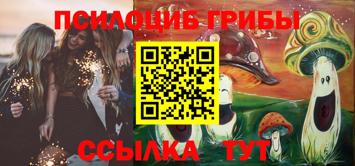 Галлюциногенные грибы мицелий Советск